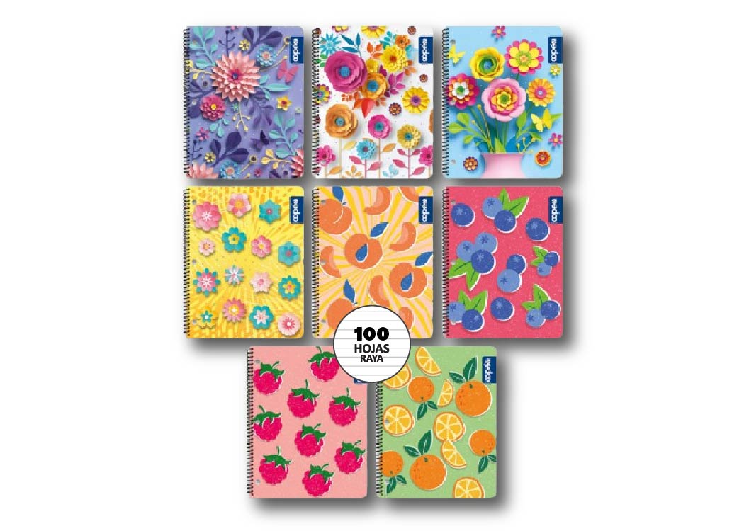 CUAD UNIV D/O 100H RAYA SPRING PASTA DURA 1MATERIA